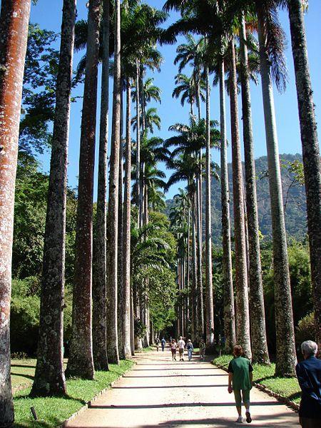 Santa Clara 86 Rio de Janeiro